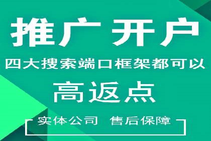 某电商平台的SEM优化托管实践与效果评估